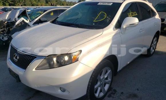 Buy New Lexus RX White Car in Badagry in Lagos State Buy New Lexus RX White Car in Badagry in Lagos State