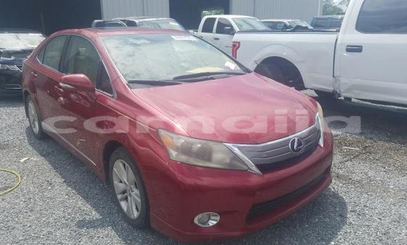 Buy New Lexus HS Red Car in Badagry in Lagos State Buy New Lexus HS Red Car in Badagry in Lagos State