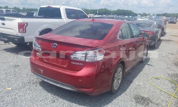 Buy New Lexus HS Red Car in Badagry in Lagos State Buy New Lexus HS Red Car in Badagry in Lagos State