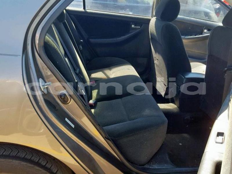 Big with watermark d9e0841b 947d 41ff b7cb 1a8a08142480