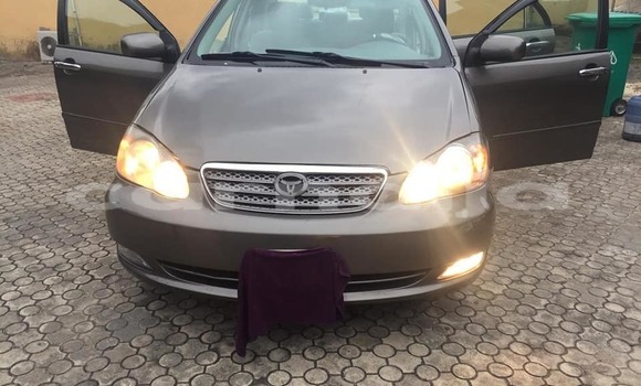 Buy Used Toyota Corolla Other Car in Lagos in Lagos State