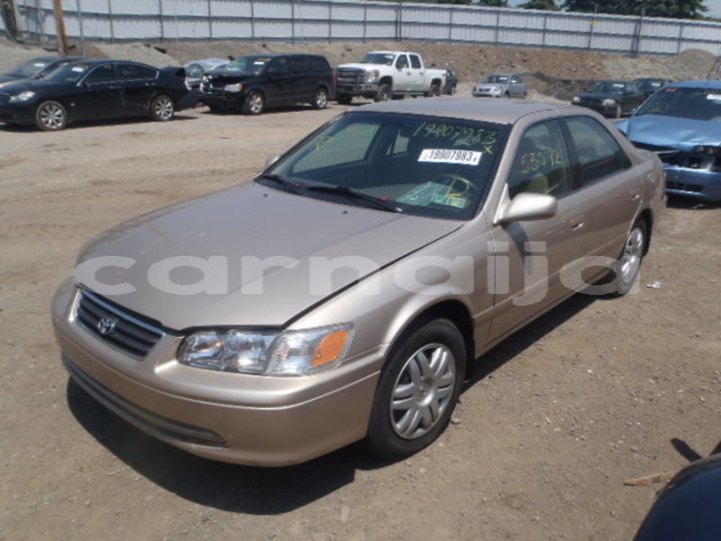 Big with watermark raw 14