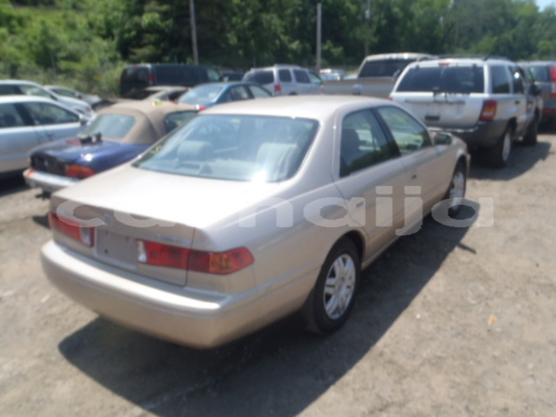 Big with watermark raw 16