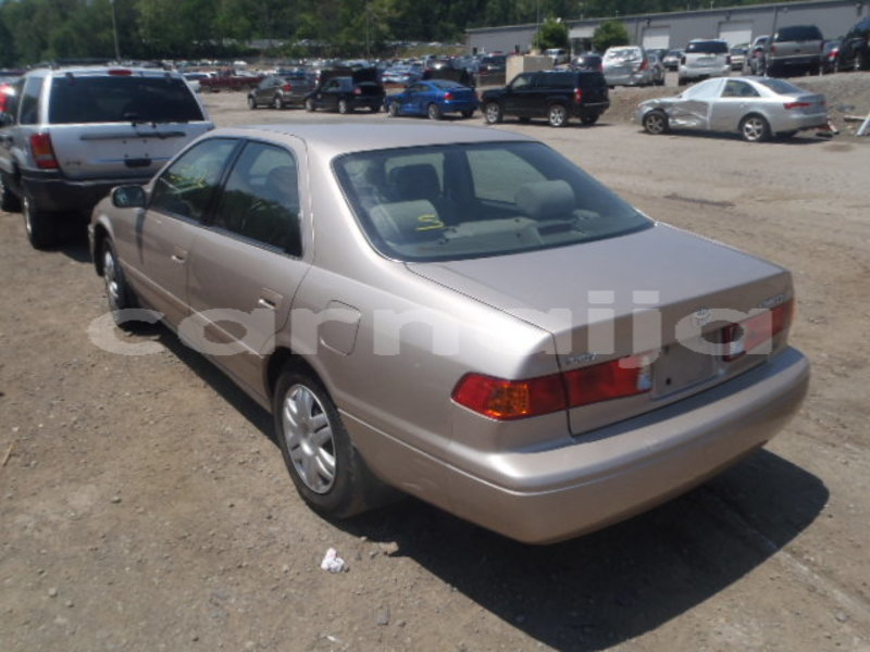 Big with watermark raw 15