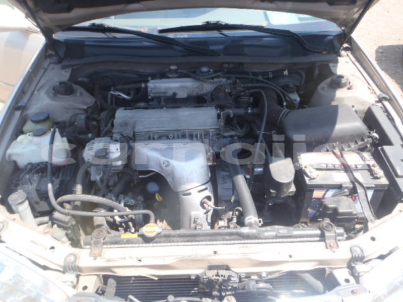 Big with watermark raw 19