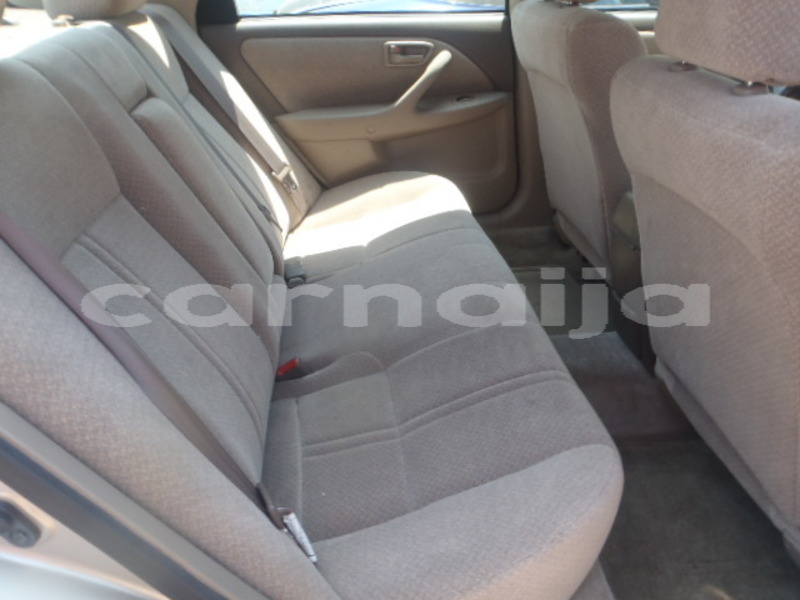 Big with watermark raw 18