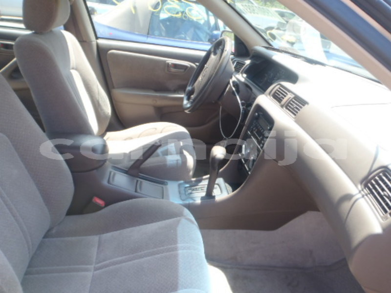 Big with watermark raw 17