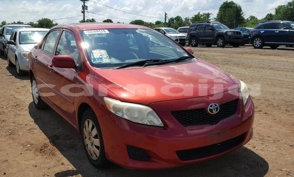 Acheter Neuf Voiture Toyota Corolla Rouge à Badagry, État de Lagos