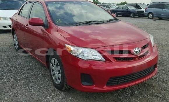 Buy New Toyota Corolla Red Car in Badagry in Lagos State Buy New Toyota Corolla Red Car in Badagry in Lagos State