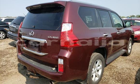Buy New Lexus GX Silver Car in Badagry in Lagos State Buy New Lexus GX Silver Car in Badagry in Lagos State