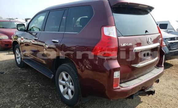 Buy New Lexus GX Silver Car in Badagry in Lagos State Buy New Lexus GX Silver Car in Badagry in Lagos State