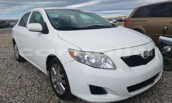 Acheter Neuf Voiture Toyota Corolla Blanc à Badagry, État de Lagos