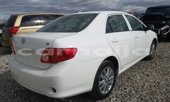 Acheter Neuf Voiture Toyota Corolla Blanc à Badagry, État de Lagos Acheter Neuf Voiture Toyota Corolla Blanc à Badagry, État de Lagos