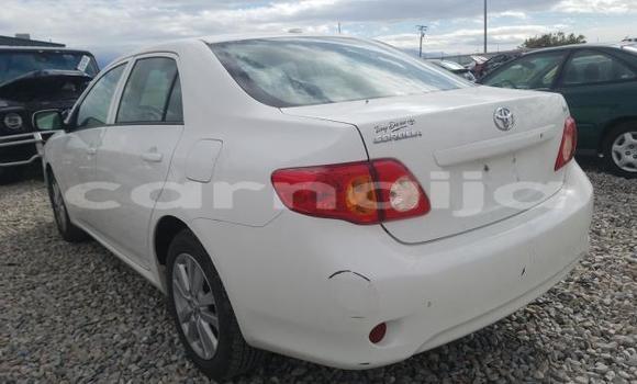 Acheter Neuf Voiture Toyota Corolla Blanc à Badagry, État de Lagos Acheter Neuf Voiture Toyota Corolla Blanc à Badagry, État de Lagos