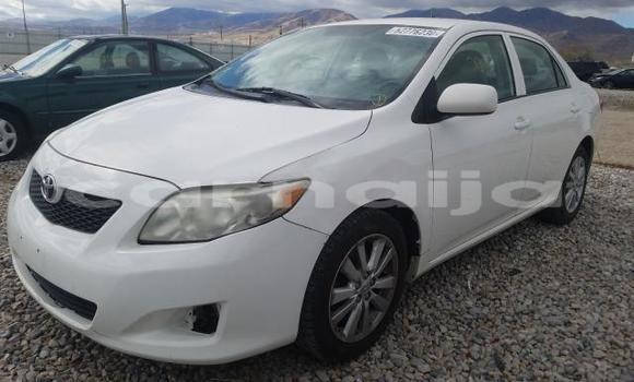 Acheter Neuf Voiture Toyota Corolla Blanc à Badagry, État de Lagos Acheter Neuf Voiture Toyota Corolla Blanc à Badagry, État de Lagos