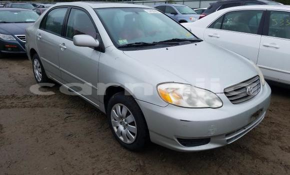 Buy New Toyota Corolla Silver Car in Badagry in Lagos State