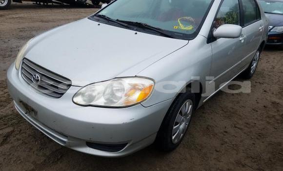 Buy New Toyota Corolla Silver Car in Badagry in Lagos State Buy New Toyota Corolla Silver Car in Badagry in Lagos State
