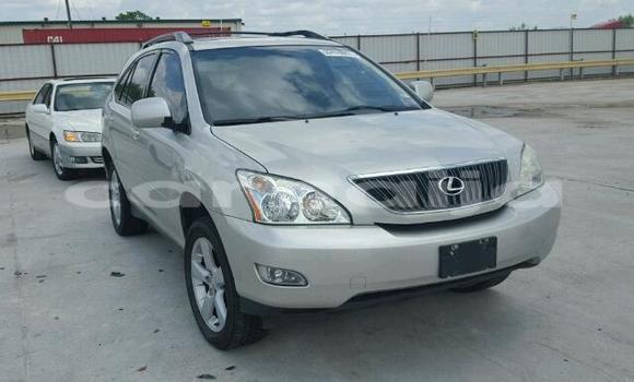 Acheter Neuf Voiture Lexus RX 330 Gris à Badagry, État de Lagos