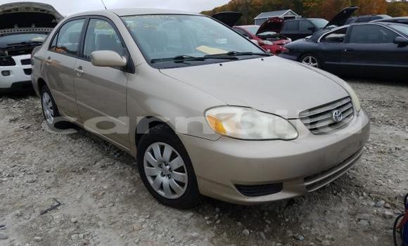 Buy New Toyota Corolla Beige Car in Badagry in Lagos State
