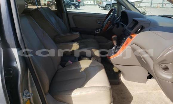 Acheter Neuf Voiture Lexus RX 300 Gris à Badagry, État de Lagos Acheter Neuf Voiture Lexus RX 300 Gris à Badagry, État de Lagos