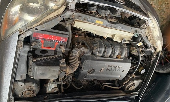 Buy Used Toyota Corolla Black Car in Aba in Abia State Buy Used Toyota Corolla Black Car in Aba in Abia State