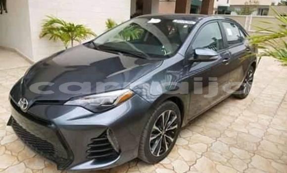 Buy Used Toyota Corolla Other Car in Lagos in Lagos State
