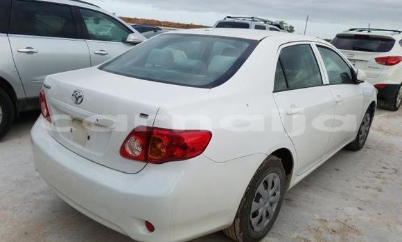 Buy New Toyota Corolla White Car in Badagry in Lagos State Buy New Toyota Corolla White Car in Badagry in Lagos State