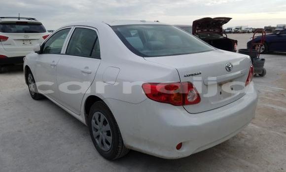 Buy New Toyota Corolla White Car in Badagry in Lagos State Buy New Toyota Corolla White Car in Badagry in Lagos State
