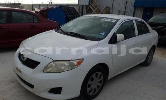 Buy New Toyota Corolla White Car in Badagry in Lagos State Buy New Toyota Corolla White Car in Badagry in Lagos State
