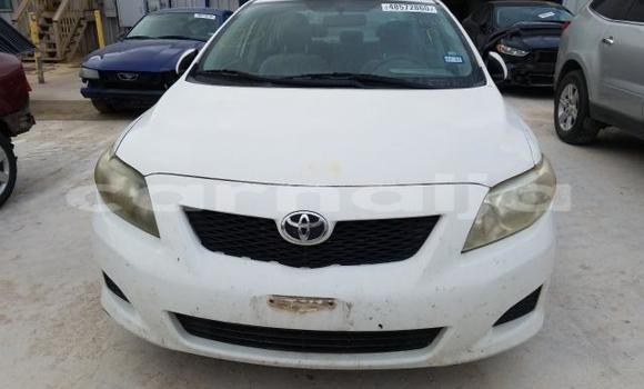 Buy New Toyota Corolla White Car in Badagry in Lagos State Buy New Toyota Corolla White Car in Badagry in Lagos State