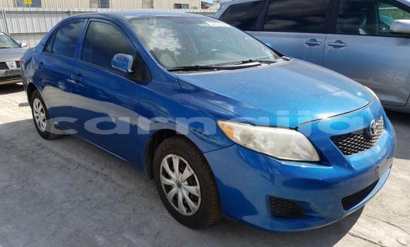 Buy New Toyota Corolla Blue Car in Badagry in Lagos State Buy New Toyota Corolla Blue Car in Badagry in Lagos State