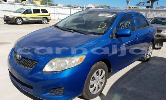 Buy New Toyota Corolla Blue Car in Badagry in Lagos State Buy New Toyota Corolla Blue Car in Badagry in Lagos State