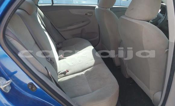 Buy New Toyota Corolla Blue Car in Badagry in Lagos State Buy New Toyota Corolla Blue Car in Badagry in Lagos State