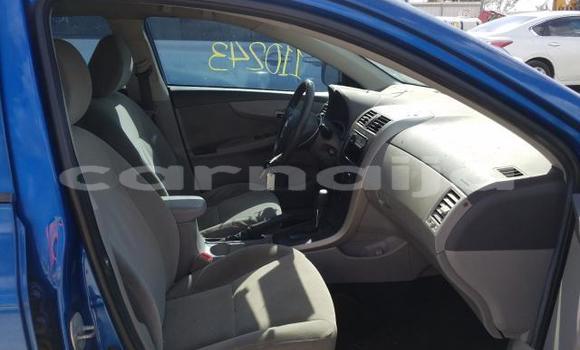 Buy New Toyota Corolla Blue Car in Badagry in Lagos State Buy New Toyota Corolla Blue Car in Badagry in Lagos State