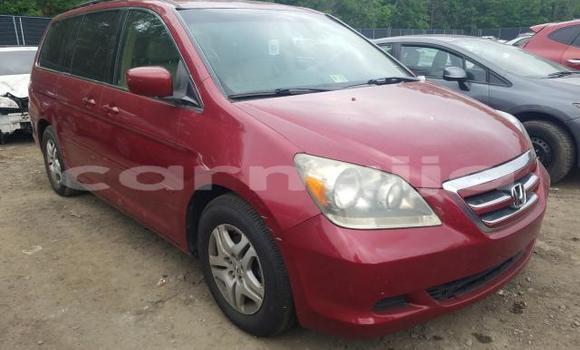 Buy New Honda Odyssey Red Car in Badagry in Lagos State