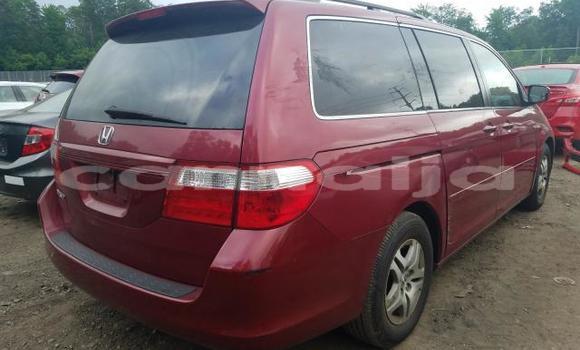 Buy New Honda Odyssey Red Car in Badagry in Lagos State Buy New Honda Odyssey Red Car in Badagry in Lagos State
