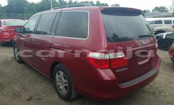 Buy New Honda Odyssey Red Car in Badagry in Lagos State Buy New Honda Odyssey Red Car in Badagry in Lagos State
