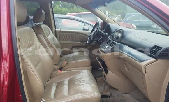 Buy New Honda Odyssey Red Car in Badagry in Lagos State Buy New Honda Odyssey Red Car in Badagry in Lagos State