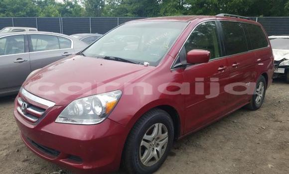 Buy New Honda Odyssey Red Car in Badagry in Lagos State Buy New Honda Odyssey Red Car in Badagry in Lagos State