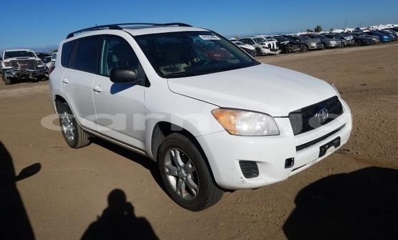 Acheter Neuf Voiture Toyota RAV4 Blanc à Badagry, État de Lagos Acheter Neuf Voiture Toyota RAV4 Blanc à Badagry, État de Lagos
