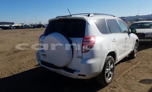 Acheter Neuf Voiture Toyota RAV4 Blanc à Badagry, État de Lagos Acheter Neuf Voiture Toyota RAV4 Blanc à Badagry, État de Lagos