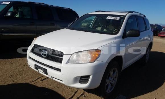 Acheter Neuf Voiture Toyota RAV4 Blanc à Badagry, État de Lagos Acheter Neuf Voiture Toyota RAV4 Blanc à Badagry, État de Lagos