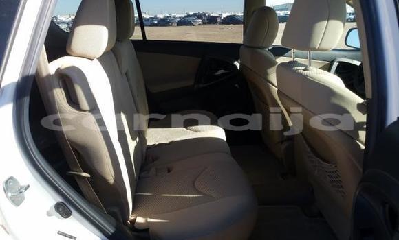Acheter Neuf Voiture Toyota RAV4 Blanc à Badagry, État de Lagos Acheter Neuf Voiture Toyota RAV4 Blanc à Badagry, État de Lagos