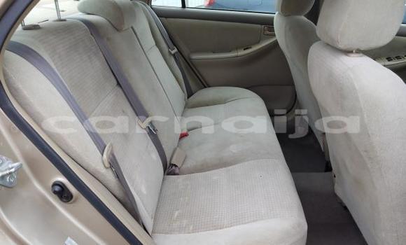 Buy New Toyota Corolla Beige Car in Badagry in Lagos State Buy New Toyota Corolla Beige Car in Badagry in Lagos State