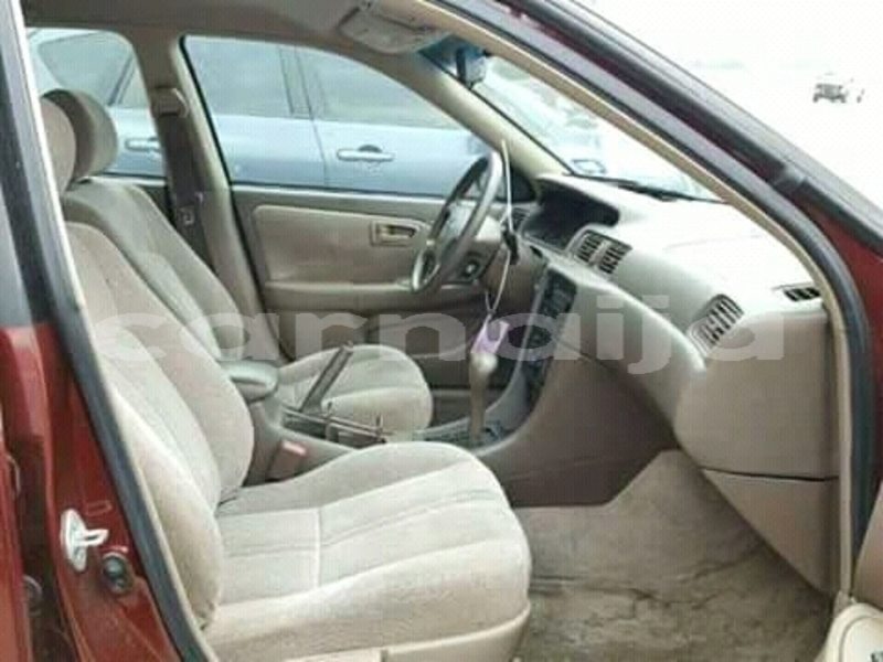 Big with watermark fb img 15231363861801875