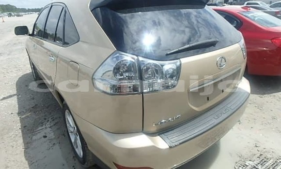 Buy Import Lexus RX 330 Other Car in Daura in Katsina Buy Import Lexus RX 330 Other Car in Daura in Katsina