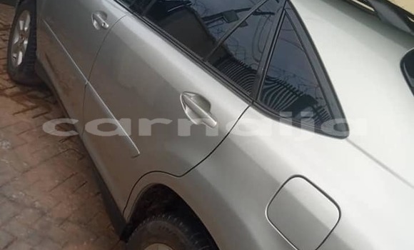 Acheter Occasion Voiture Lexus RX 330 Gris à Aba, État d'Abia Acheter Occasion Voiture Lexus RX 330 Gris à Aba, État d'Abia