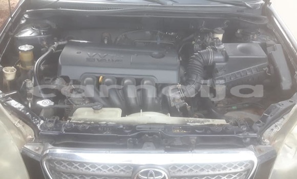 Acheter Occasion Voiture Toyota Corolla Noir à Aba, État d'Abia Acheter Occasion Voiture Toyota Corolla Noir à Aba, État d'Abia