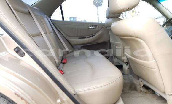 Acheter Neuf Voiture Honda Accord Beige à Badagry, État de Lagos Acheter Neuf Voiture Honda Accord Beige à Badagry, État de Lagos