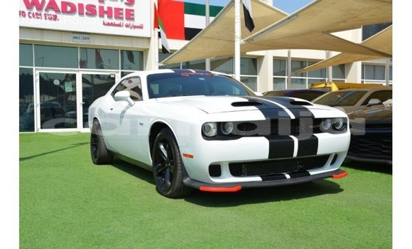Acheter Import Voiture Dodge Challenger Blanc à Import - Dubai, État d'Abia Acheter Import Voiture Dodge Challenger Blanc à Import - Dubai, État d'Abia